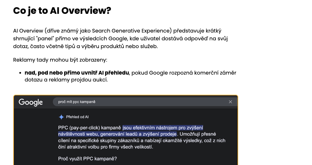 AI Overview přichází do Česka: Co nás čeká a na co se připravit v rámci PPC kampaní