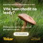 Tollar - b2b ukázka 1