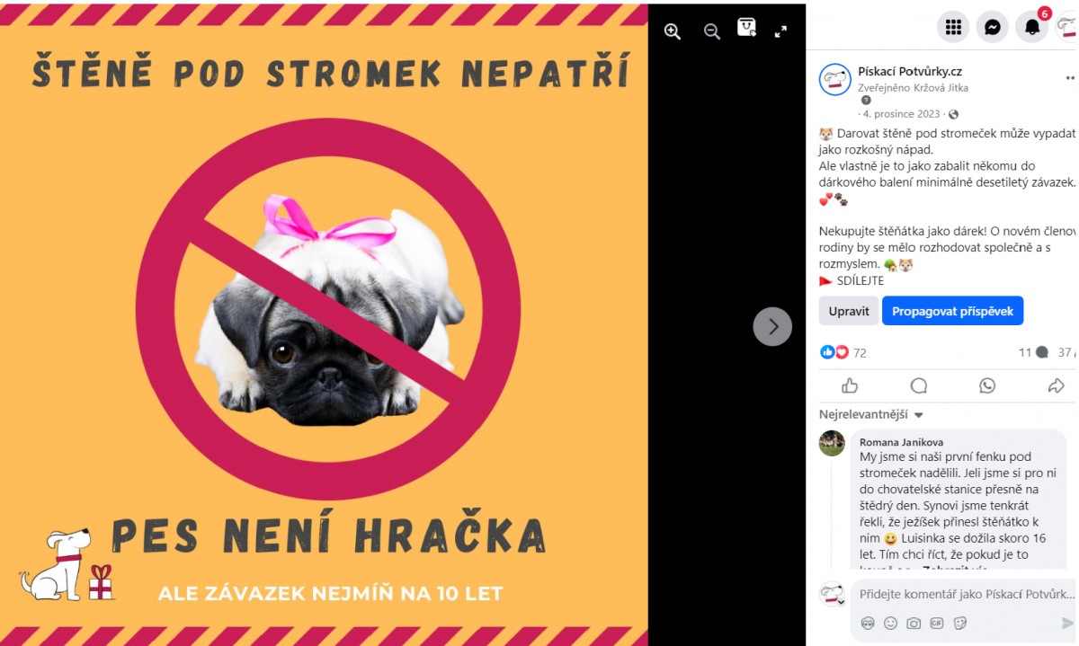 Pískací potvůrky – štěně | sociální sítě
