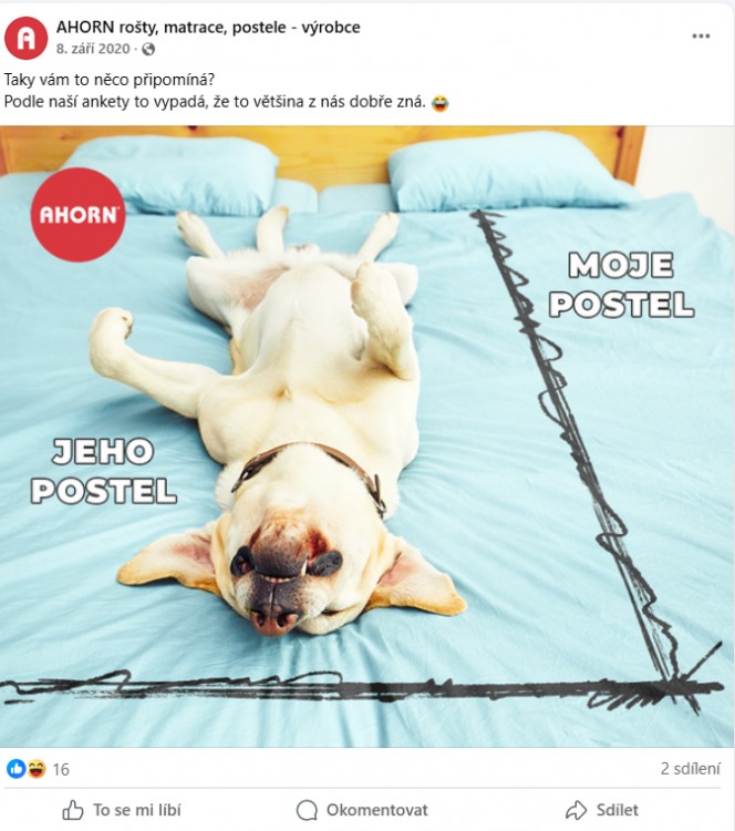 Sociální sítě Ahorn