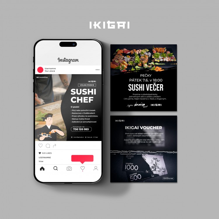 Ikigai grafika