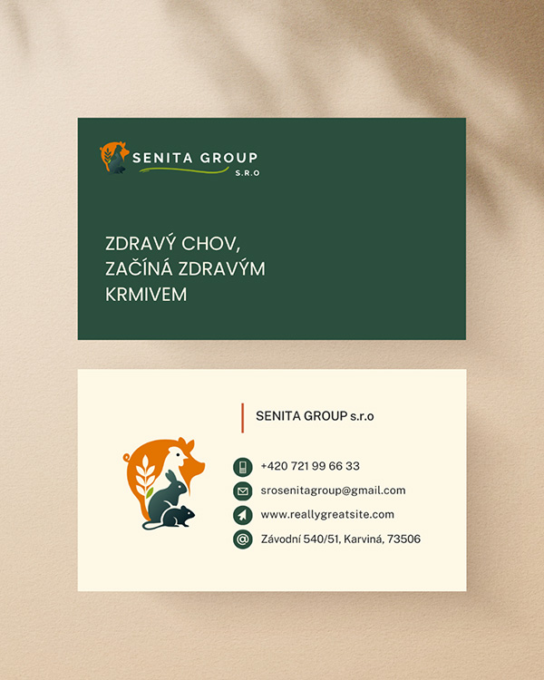 Senita Group – grafika na Instagram