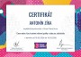 Certifikát: Canva online, reklamní grafika a video – Draw Planet