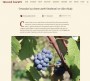 Cestování za vínem aneb Vinobraní se vším všudy
