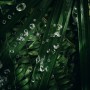 Broušené sklo | produktová fotografie