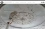 StuccoDecor, e-shop uměleckého štukatérství převzatý po předchozím dodavateli