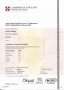 Cambridge English CAE, Pavel Musiol, Grade A (C2), skóre 206, duben 2015, Praha