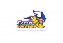 Logo Czech Vikings  (náhled aktuálně zobrazené položky)